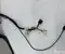 Mercedes-Benz A2538104901, A0998107900 GLC (X253) 2017 Outside Mirror Left adjustment electric - Image 2