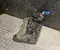 Gebrauchtes Original Mercedes-Benz A2134701503 E-CLASS T-Model (S213) 2023 Adblue Tank - Bild 2
