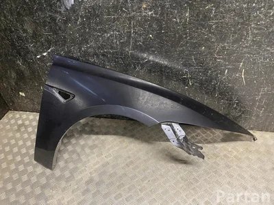 Gebrauchtes Original Tesla MODEL 3 2025 Kotflügel rechte Seite - Bild 1