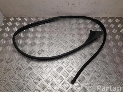 Polestar 8892892251, 1000120452 4 2025 Durų stiklo sandariklis kairė priekis - Paveiksliukas 1