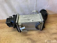 Volkswagen 04E145785E TIGUAN (AD1) 2021 Intercooler