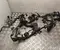 Toyota 82121-47500 / 8212147500 PRIUS (_W6_) 2024 Kabelsatz - Bild 2