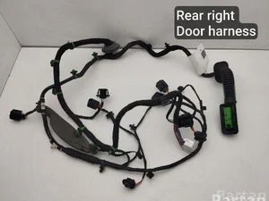 Porsche 971971122B, 971974294B PANAMERA (971) 2018 Harnais pour intérieur Porte