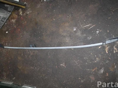 Volvo 31250209 XC90 I 2007 Main-courante de pavillon - Image 1