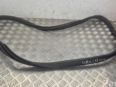 XPeng P7 2025 Door Seal Left Rear - Image 1