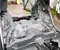 Gebrauchtes Original Maserati LEVANTE 2017 Karosserie viertel hinten links - Bild 3