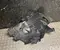 Gebrauchtes Original Mercedes-Benz A9076840100 Sprinter (907/910) 2023 Radhausschale vorne rechts - Bild 2