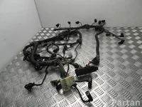 BMW 8514566 4 Coupe (F32, F82) 2014 Engine harness
