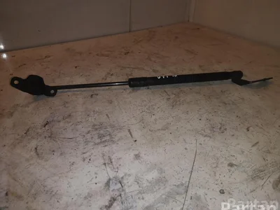 BMW 51247060622 1 (E81) 2009 Charnière - Image 1