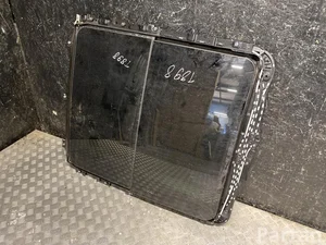 BMW 8096248 3 (G21) 2019 Dach przeszklony