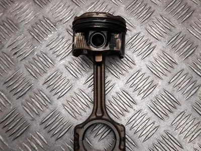 Nissan 120106547R, 1210000Q1M Qashqai III (J12) 2022 Stūmoklis - Paveiksliukas 1