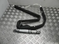 Renault 985P000014R SCÉNIC III (JZ0/1_) 2010 Airbag de tête