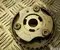 Ford E3BG6C525BA. 14165000406 / E3BG6C525BA14165000406 FOCUS III 2014 Roues dentées (chaîne de distribution) - Image 1