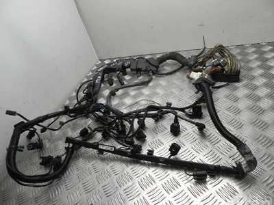 BMW 7550245 5 (F10) 2014 Fils du compartiment moteur - Image 1
