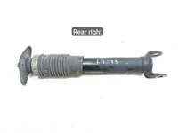 Chevrolet 22784741, 17249141, 172490091, 22268894 CORVETTE (C6) 2012 Stoßdämpfer hinten rechts