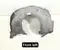 Aston Martin MY83-166563-AC / MY83166563AC DBX 2021 Radhausschale vorne links - Bild 1