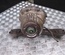 HONDA CR-V II (RD_) 2006 Rear axle differential