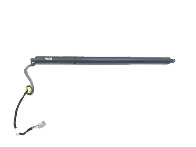 Ford USA KL1B-78402A55-AA / KL1B78402A55AA EXPEDITION (U553) 2020 Gasfeder - Bild 1