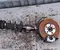 Volkswagen 2Q0407255AG, 2Q0413031BT POLO VI (AW1, BZ1, AE1) 2024 Vorderer Radlagergehäuse komplett linke Seite - Bild 1