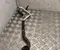 Gebrauchtes Original Mercedes-Benz A 213 830 24 05 / A2138302405 E-CLASS T-Model (S213) 2017 Kühlmittelleitung - Bild 2