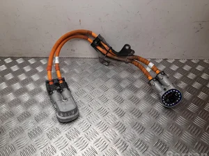 BMW 5 A1C A67 / 5A1CA67 IX 1 2023 Harnais