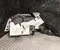 Gebrauchtes Original Nissan 849505mp0B Ariya 2025 Kofferraumverkleidung rechts - Bild 3