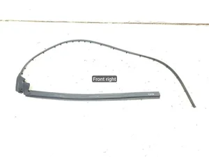 Ferrari 069989200 California 2010 Durų sandariklis dešinė priekis