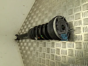 Jaguar GX63-18B037-TC / GX6318B037TC XF (X260) 2017 Amortisseur Right Front