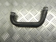 RENAULT 295Y79629R Twingo Z.E 2022 Pipe, coolant