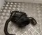 Mercedes-Benz A 654 090 26 00, A 654 140 05 60 / A6540902600, A6541400560 Sprinter (907/910) 2023 Ansaugluftführung - Bild 1
