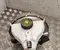 Mercedes-Benz A 213 430 08 30 / A2134300830 E-CLASS T-Model (S213) 2023 Brake Master Cylinder - Image 1
