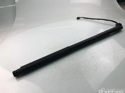 Volvo 31385256 V90 II 2018 Spyruoklės/statramsčiai ir amortizatoriai - Nuotrauka 1