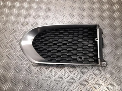 Jaguar HK8M-8B290, HK8M-8B290-AA / HK8M8B290, HK8M8B290AA F-PACE (X761) 2017 Grotelės - Paveiksliukas 1