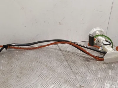 BMW 7194252 X5 (E70) 2011 Pompe d'alimentation - Image 1