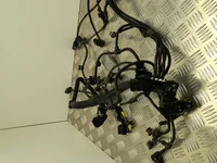 BMW 8672143 X3 (F97) 2019 Harnais