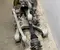 BMW 6796145, 7566087, C528570 6 coupe (F13) 2012 Zestaw zawieszenia tylnego lewa strona - Obraz 3