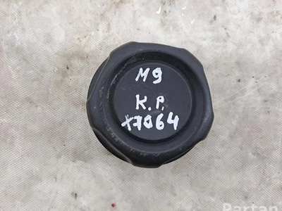 Citroën 9812339080 C3 III (SX) 2020 Autres pièces de siège - Image 1