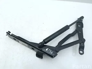 Ferrari 9221654, 80854400 California 2010 Bagažinės dangčio vyriai