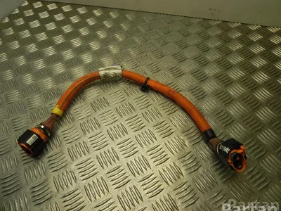 Renault 240419193R ZOE (BFM_) 2020 Câbles de batterie - Image 1