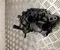 BAIC 231214A0305 X55 2024 Wasserpumpe - Bild 1