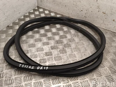 Gebrauchtes Original Ford CAPRI (CX740L) 2024 Türdichtung hinten rechts - Bild 1