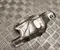 Dacia 144507766R BIGSTER 2025 Ochrona termiczna - Zdjęcie 1