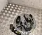 Gebrauchtes Original Mercedes-Benz A4474700594 VITO Kasten (W447) 2023 Kraftstoff-Fördereinheit - Bild 2