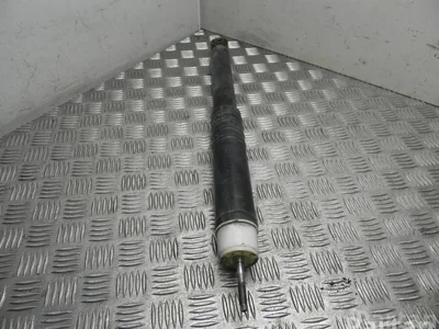 Renault 552405569R ZOE (BFM_) 2014 Amortisseur - Image 1