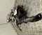 Volkswagen 04L253056G PASSAT Variant (3G5) 2015 Turbocompresor - Imagen 2