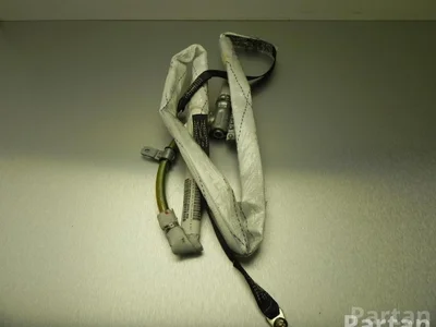 BMW 30317952R X5 (E53) 2005 Airbag de tête - Image 1