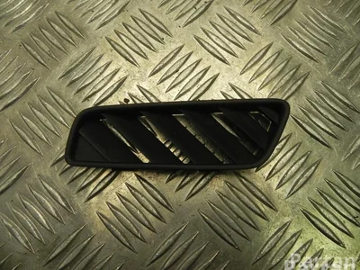 Audi 8R0 819 793 / 8R0819793 Q5 (8R) 2012 Grillades - Image 1