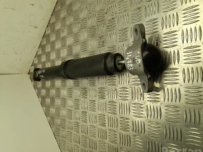 Ford USA LJ9C-18080-EAJ / LJ9C18080EAJ Mustang Mach-E 2023 Amortisseur Left Rear - Image 1