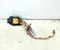 Mercedes-Benz A2975403426, A2976309900 EQS (V297) 2022 Harness - Image 3
