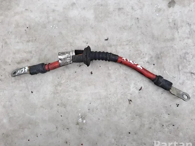 BMW 9243644 X3 (F25) 2011 Câbles de batterie - Image 1